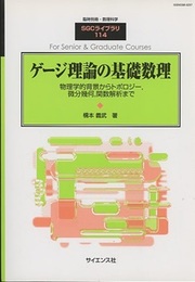 ゲージ理論の基礎数理 物理学的背景からトポロジー，微分幾何，関数解析まで 