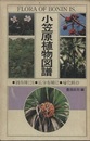 小笠原植物図譜（初版） 固有種124・広分布種62・帰化種49 