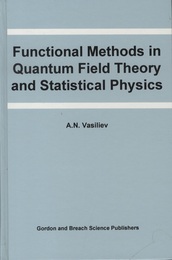 Functional Methods in Quantum Field Theory and Statistical Physics  