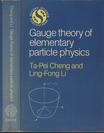 Gauge Theory of Elementary Particle Physics (Soft)  