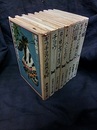 蝶蛾シリーズ　全10巻中8冊セット　(欠：(4),(10)) (1)ギフチョウの自然史 (2)チョウ (3)森の蝶・ゼフィルス (5)ベニヒカゲ (6)アカエリトリバネチョウ (7)高山蛾 (8)ギフチョウと姫川谷 (9)冬尺蛾