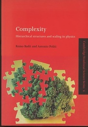 Complexity Hierarchical Structures and Scaling in Physics (Soft) 