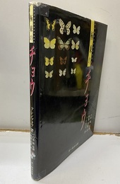 極東のチョウ  