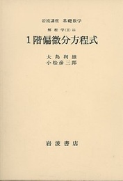 1階偏微分方程式  