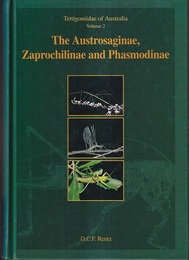 The Austrosaginae、 Zaprochilinae and Phasmodinae (Tettigoniidae of Australia 2) オーストラリアのキリギリス科 
