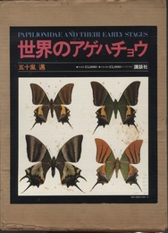 世界のアゲハチョウ（図版編・解説編）  
