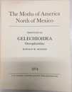 The Moths of America North of Mexico including Greenland Fascicle 6/2 : Gelechioidea Oecophoridae  