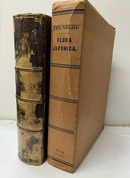 FLORA JAPONICA [トンベルグ日本植物誌](復刻版) 図版39枚 