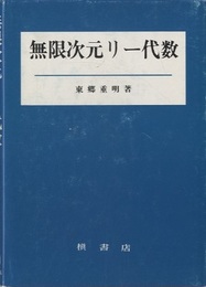 無限次元リー代数  