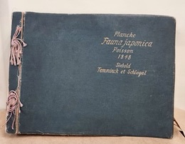 Planche Fauna Japonica Poisson 1848 Siebold Temminck et Schlegel シーボルト　日本動物誌　魚類 