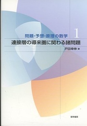 連接層の導来圏に関わる諸問題  
