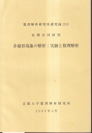 非線形現象の解析:実験と数理解析  