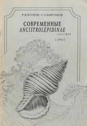 Recent Ancistrolepidinae (Buccinidae).  