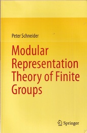 Modular Representation Theory of Finite Groups  