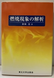 燃焼現象の解析  