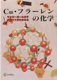 C60・フラーレンの化学 サッカーボール分子のすべてがわかる本 