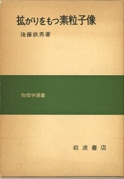 拡がりをもつ素粒子像  