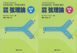 初級講座弦理論 基礎編・発展編  