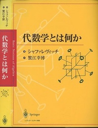 代数学とは何か  