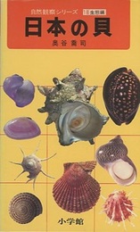 日本の貝  