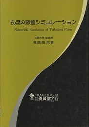乱流の数値シミュレーション （旧版）  