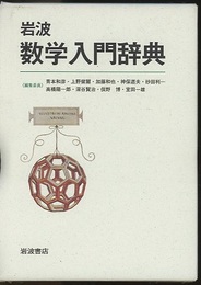 岩波数学入門辞典  