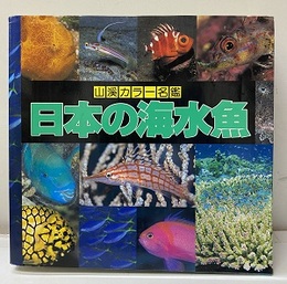 日本の海水魚  