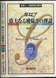 ガロア　偉大なる曖昧さの理論  