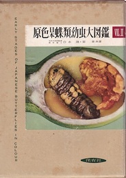 原色日本蝶類幼虫大図鑑 2  