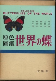 原色図鑑世界の蝶  