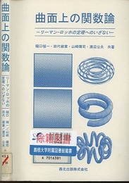曲面上の関数論 リーマン‐ロッホの定理へのいざない 