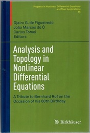 Analysis and Topology in Nonlinear Differential Equations (Hard) A Tribute to Bernhard Ruf on the Occasion of his 60th Birthday 