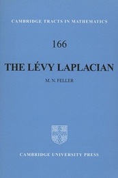 The Levy Laplacian (Soft)  