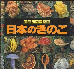 日本のきのこ （旧版）  