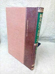 鍼灸医学典籍大系21　経穴?要  