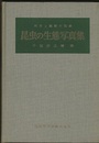 昆虫の生態写真集 飼育と観察の記録 