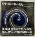 骨から見る生物の進化  