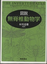 図説無脊椎動物学  
