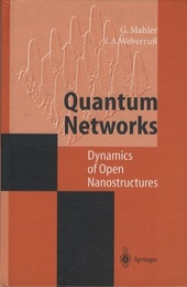 Quantum Networks Dynamics of Open Nanostructures 