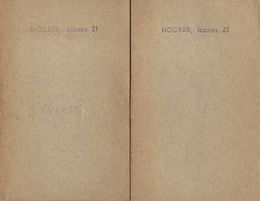 HOOKER'S Icones Plantarum : Vol. 1-2 (Indian Orchideae) or Figures with brief descriptive characters and Remarks、 of new and rare plants 