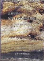 佐賀平野の阿蘇4火砕流と埋没林 平成5年度八藤遺跡発掘調査報告書 