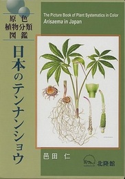 日本のテンナンショウ  