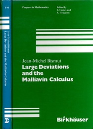 Large Deviations and the Malliavin Calculus  