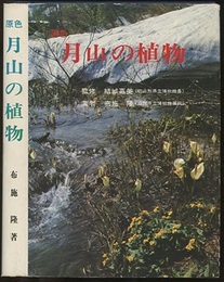 原色月山の植物  