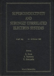 Superconductivity and Strongly Correlated Electron Systems  