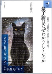 量子論はなぜわかりにくいのか 「粒子と波動の二重性」の謎を解く 