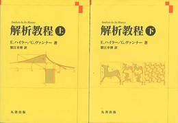 解析教程 （上・下） 新装版  