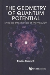 The Geometry of Quantum Potential Entropic Information of the Vacuum 