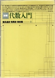 詳解代数入門  