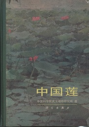 （中文）中国蓮  